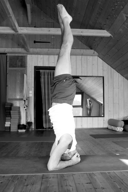 Yoga - Vieillard Cedric, Cours de Yoga à Vaucluse