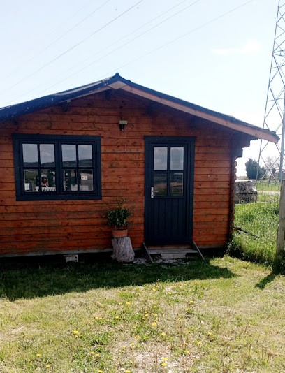 Magnétiseur Communication Animale Marieke AMBROISE, Thérapeute Reiki à Quincey