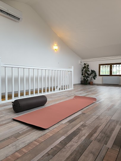 Esprit Aventures Yoga, Cours de Yoga à Saint-Lys