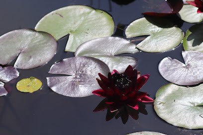 Soin Reïki 24, Thérapeute Reiki à Trélissac