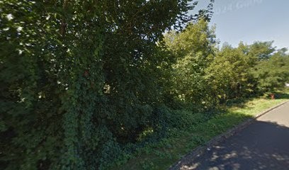 THORE Émilie - REIKI - Thérapie Manuelle - Somato Émotionnelle, Thérapeute Reiki à Ancy