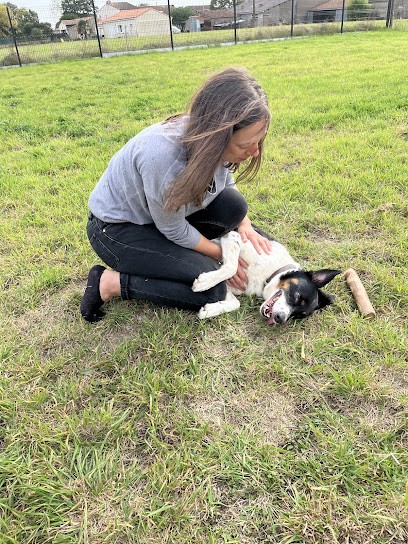 Callut Myriam - Histoire d'âmes, Thérapeute Reiki à Saint-Colomban