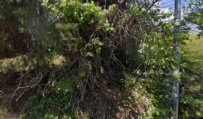 Ghislaine Bergoin reikigrainesdelumiere, Thérapeute Reiki à Grasse