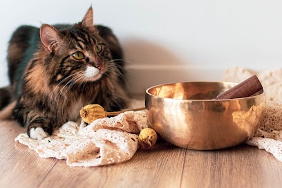 Mademoiselle Reiki, Thérapeute Reiki à Châteauneuf-du-Rhône