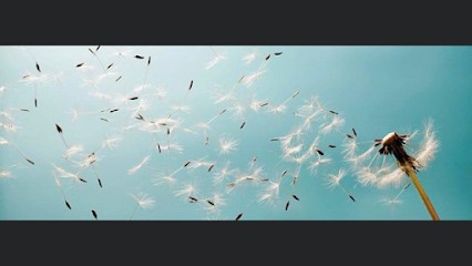 virginie mel sophrologue relaxologue, Thérapeute Reiki à Sorèze