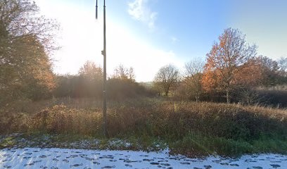 Isabelle Cuvillier - Énergéticienne Animaux et Humains 77, Thérapeute Reiki à Chailly-en-Brie