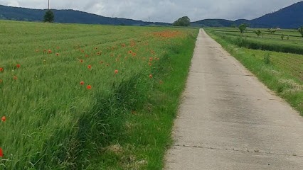 Rigal Jean Christophe, Thérapeute Reiki à Epfig