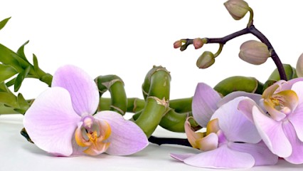 Catherine Dieu, Thérapeute Reiki à Chessy