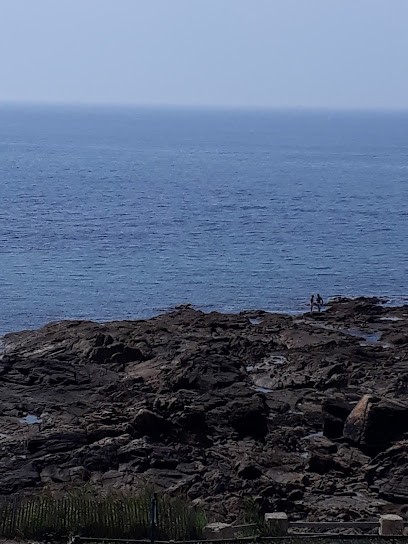 Cougnon Florence, Cours de Yoga aux Sables-d'Olonne
