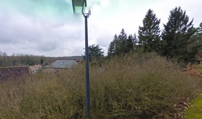 Coeur de Lionne, Thérapeute Reiki à Nanteau-sur-Essonne