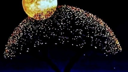 L'âme agît -Maître Reiki, Thérapeute Reiki à Charleville-Mézières