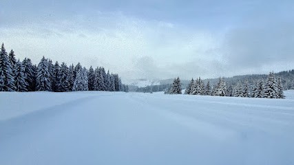 Cominotti Charlène Praticienne Holistique - Modelages Corps Et Reiki Usui, Thérapeute Reiki à Mulhouse