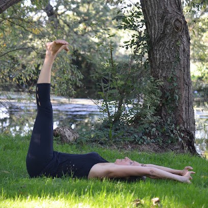Niort Postural, Cours de Yoga à Niort