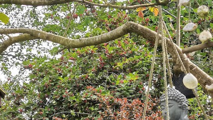 Reikicougou, Thérapeute Reiki à Guenrouet