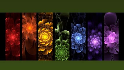 Cédric EnergétiK, Thérapeute Reiki à Saint-Romain-de-Benet