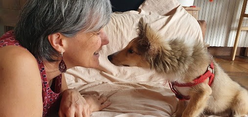 Valérie Gervasoni - Séances et Formations, Thérapeute Reiki à Villard-de-Lans