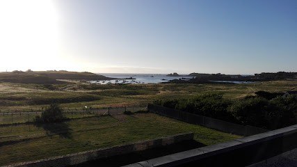 Live Better Par Le Yoga, Cours de Yoga à Porspoder