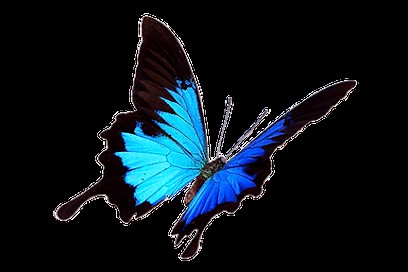 Terre-Harmony.com, Thérapeute Reiki aux Guerreaux