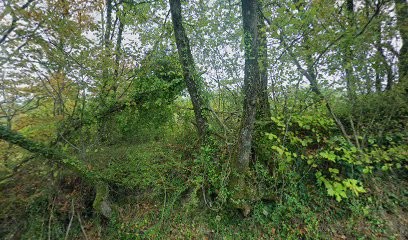 Hélène Kinet, Thérapeute Reiki au Vigan