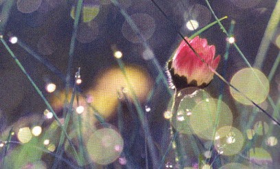 Thérapeute Acupuncteur Montauban - Corinne Bergoglio, Thérapeute Reiki à Cazes-Mondenard