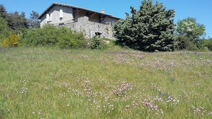 Yoga San Fe, Cours de Yoga à Saint-Félicien