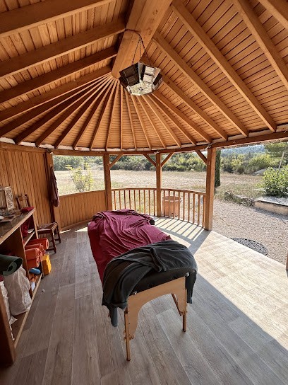 Teacher Yoga Vinyasa I Faustine Rolland Yoga, Cours de Yoga à Mirabeau