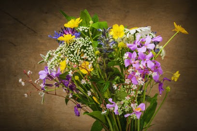 Yoga De Samara Yoga, Cours de Yoga à Sisteron
