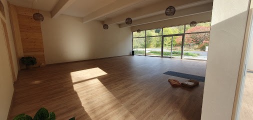 Abhyasa - Yoga Et Thérapie, Cours de Yoga à Saint-Jeoire