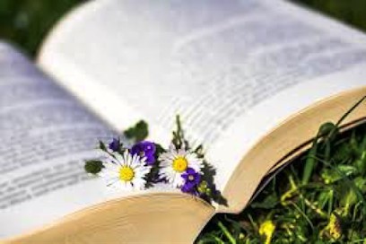 Thérapeute Énergéticienne, Thérapeute Reiki à Marsilly