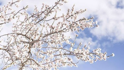 Marion Charpentier - Sophro-Energie, Thérapeute Reiki à Neuville-sur-Ain