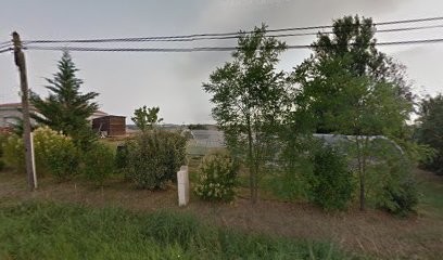 Reïki & Massage Sonore Et Vibratoire Aux 7 Bols Tibétains, Thérapeute Reiki à La Salvetat-Belmontet