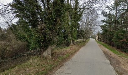 Reiki Santé Luberon, Thérapeute Reiki à Cavaillon