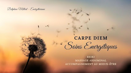 Carpe Diem - Milliot Delphine Energéticienne, Thérapeute Reiki à Polincove