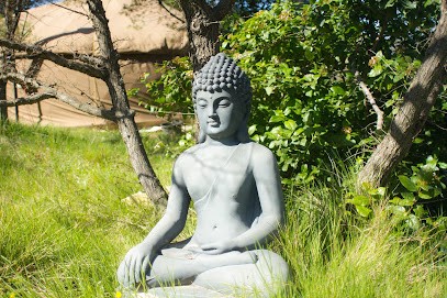 Véronique Hermitte - Yoga, Cours de Yoga à Plaissan