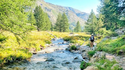 Between Yogis Saint Paul, Cours de Yoga à Saint-Paul-de-Vence