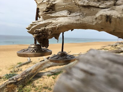 SunshineYoga.fr, Cours de Yoga à Saint-André-de-Seignanx