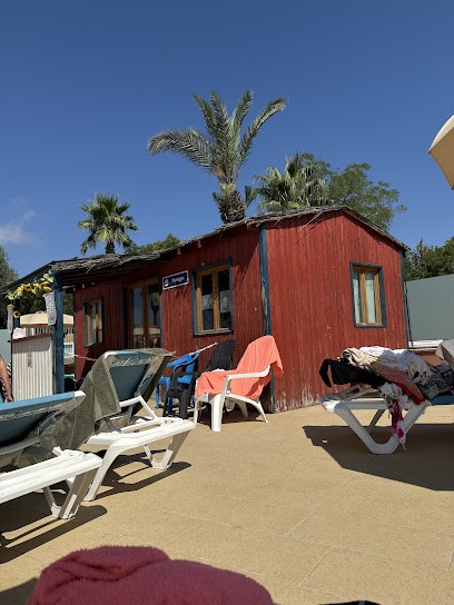 L' Ame Agit, Thérapeute Reiki à Saint-Cyprien