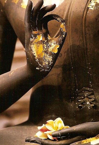 Yoga Millau Ananda, Cours de Yoga à Millau