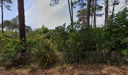 Bliss Yoga, Cours de Yoga à Vendays-Montalivet