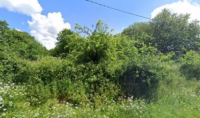 Julie Vasseur - Reiki Arc-en-Ciel®, Thérapeute Reiki à Baulon