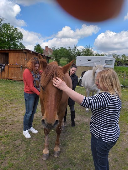 Cathy Renaux, Thérapeute Bien-être, Maître Reïki , Sophrologue, Communication Animale, Passeuse D'âme, Recouvrement D'âme., Thérapeute Reiki aux Andelys