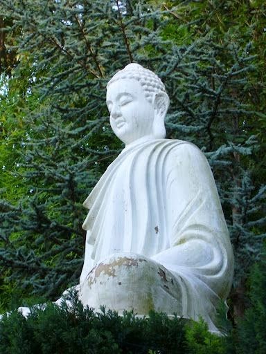 Instant Yoga, Cours de Yoga à Lyon 03