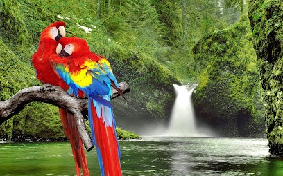 Magnétiseur Locatelli Serge 38500 Coublevie, Thérapeute Reiki à Coublevie