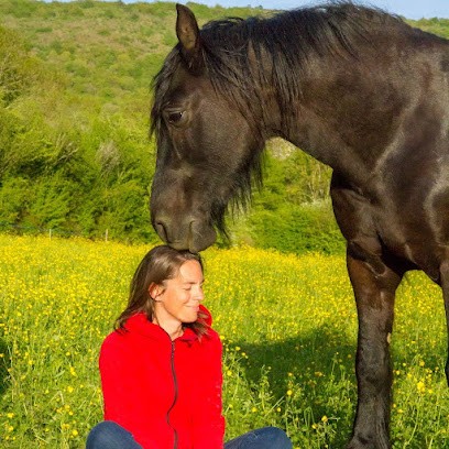 cheval toi émoi, Thérapeute Reiki à Andelot-Morval
