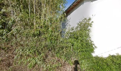 Clémentine Broyer Couturier, Cours de Yoga à Saint-Jean-sur-Veyle