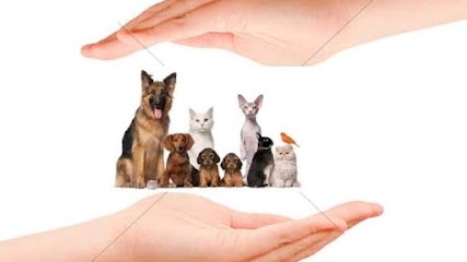 Fanny Blery thérapeute animalier/magnétisme/physiothérapie/reiki, Thérapeute Reiki à Nogent-le-Rotrou