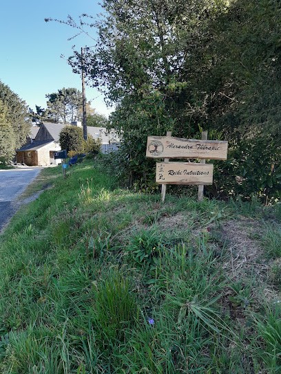 Reiki Intuitions.com, Thérapeute Reiki à Guiscriff