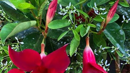 Reiki Librer, Thérapeute Reiki à Fauch