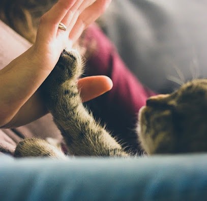 Anaïs Frappin | Energéticienne & Médium, Thérapeute Reiki à Saint-Fiacre-sur-Maine