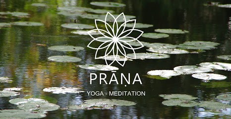 Prana Yoga Meditation, Cours de Yoga à Parempuyre